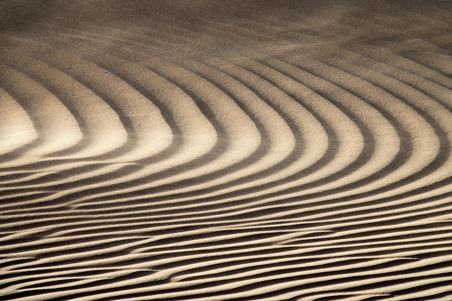 Wind blowing over sand dunes Photograph by Mikhail Kokhanchikov | Fine ...