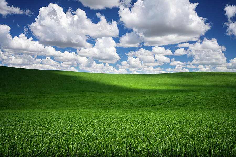 Windows XP Bliss-like Photograph by Neal G - Pixels