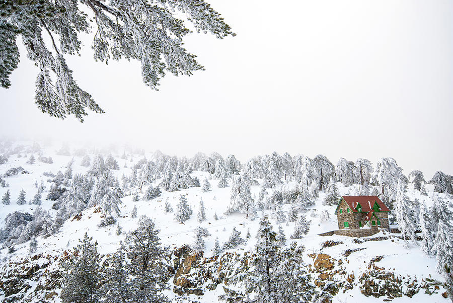 Winter Landscape, Troodos mountains Cyprus #2 Photograph by Michalakis Ppalis