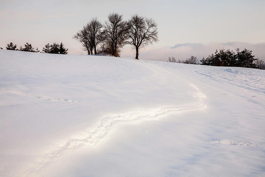 Winter Landscapes #3 Photograph by Ian Middleton