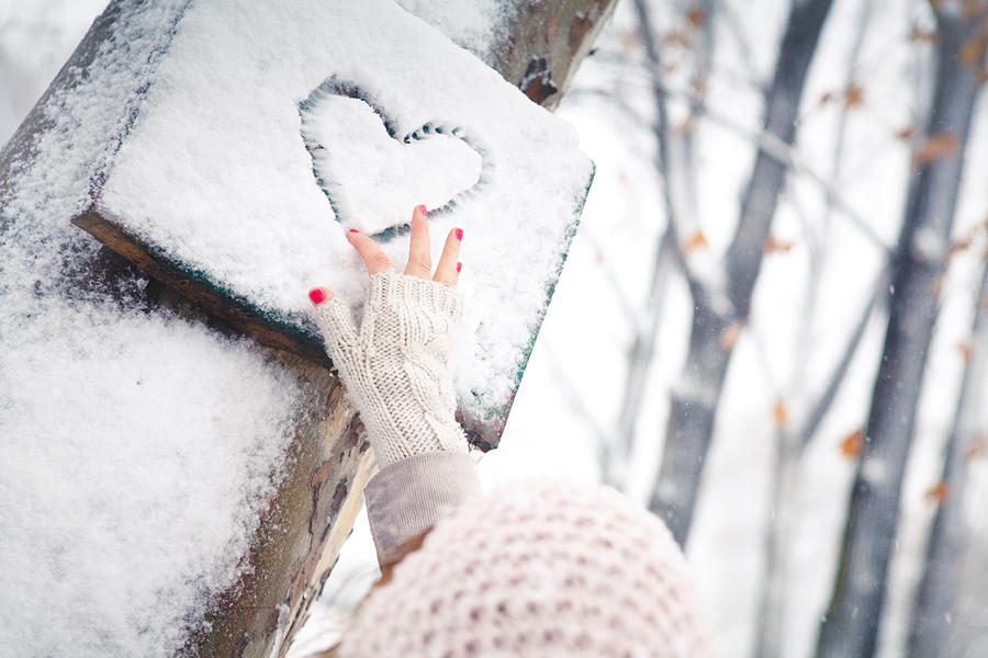 Winter love #3 Photograph by AleksandarNakic