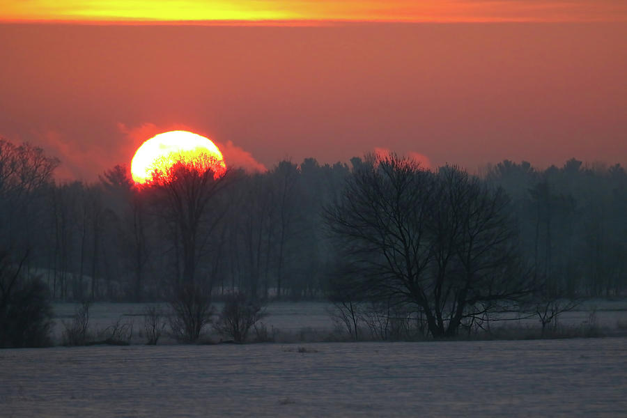 Winter Sunrise #3 Photograph by Brook Burling