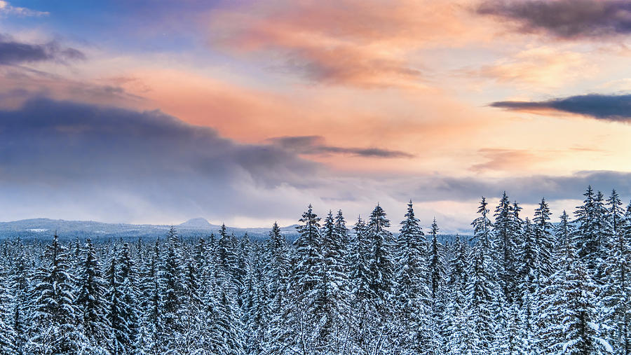 Winter Sunset #3 Photograph by Michele Cornelius