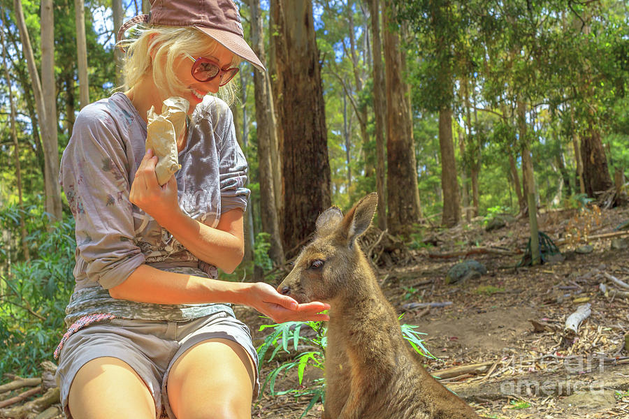 Woman with kangaroo #3 Photograph by Benny Marty