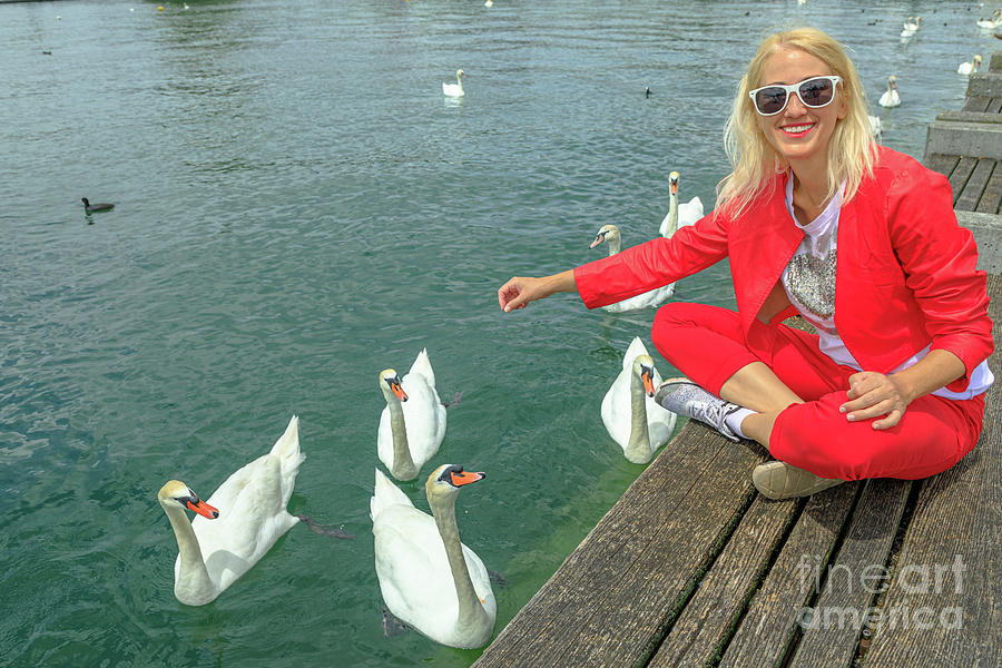 Woman with swans in Zurich lake #3 Photograph by Benny Marty