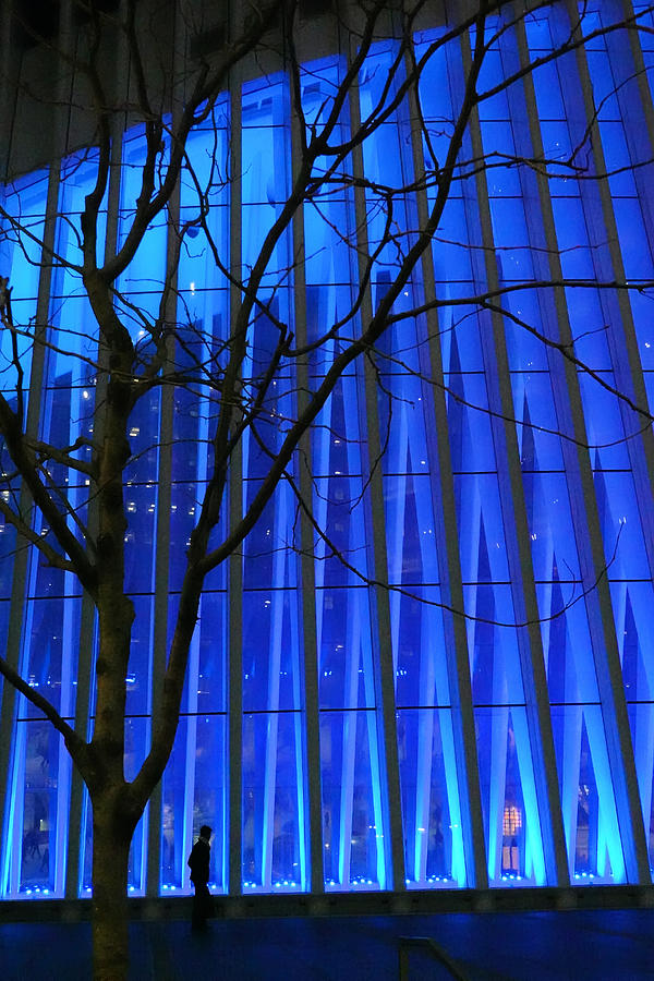 3 WTC, Winter Evening Photograph by Steve Ember