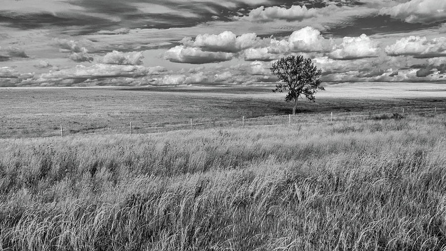 Wyoming Prairie Black and White Photograph by Don Spenner