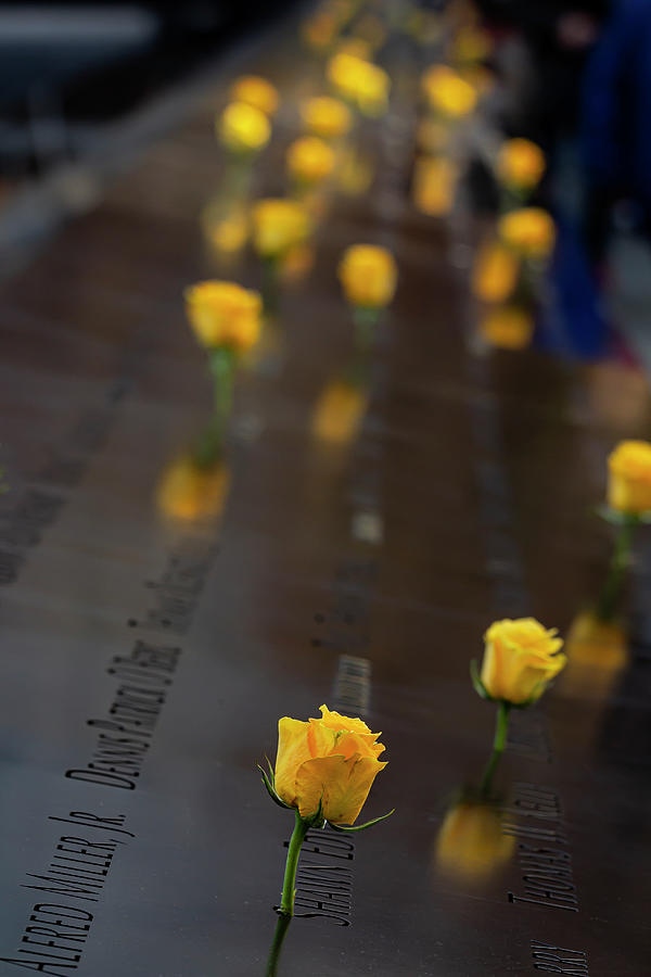 Yellow Rose World Trade Center Memorial NYC #3 Photograph by Robert Ullmann