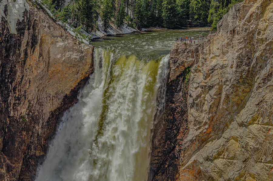 Yellowstone Falls #3 Photograph by Yeates Photography