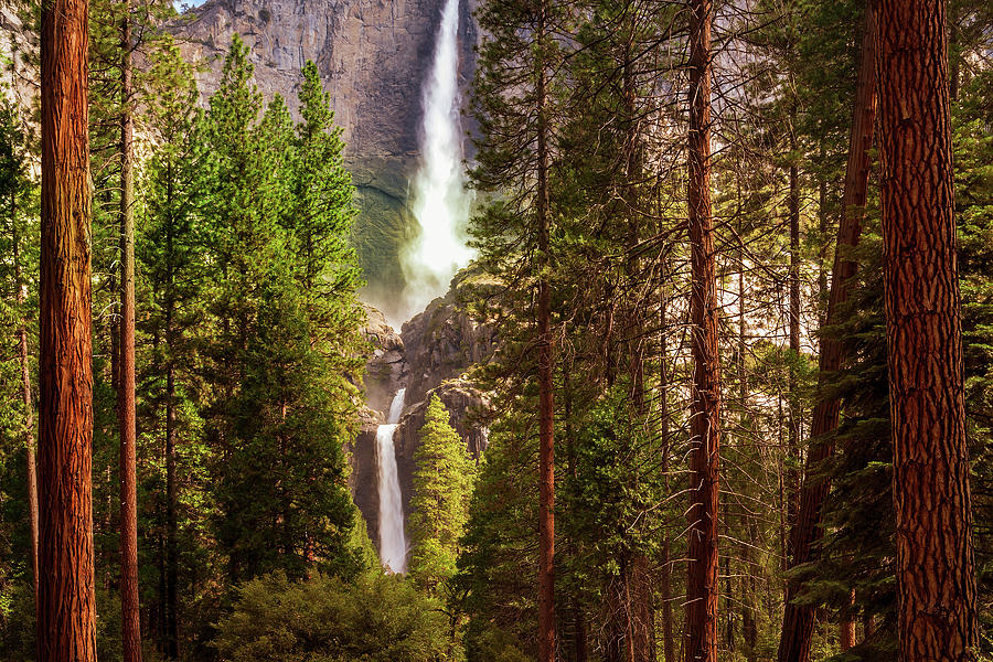 Yosemite National Park Photograph - Yosemite Falls #3 by Andrew Soundarajan