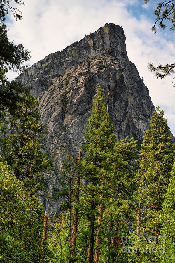 Yosemite National Park #3 Photograph by Abigail Diane Photography