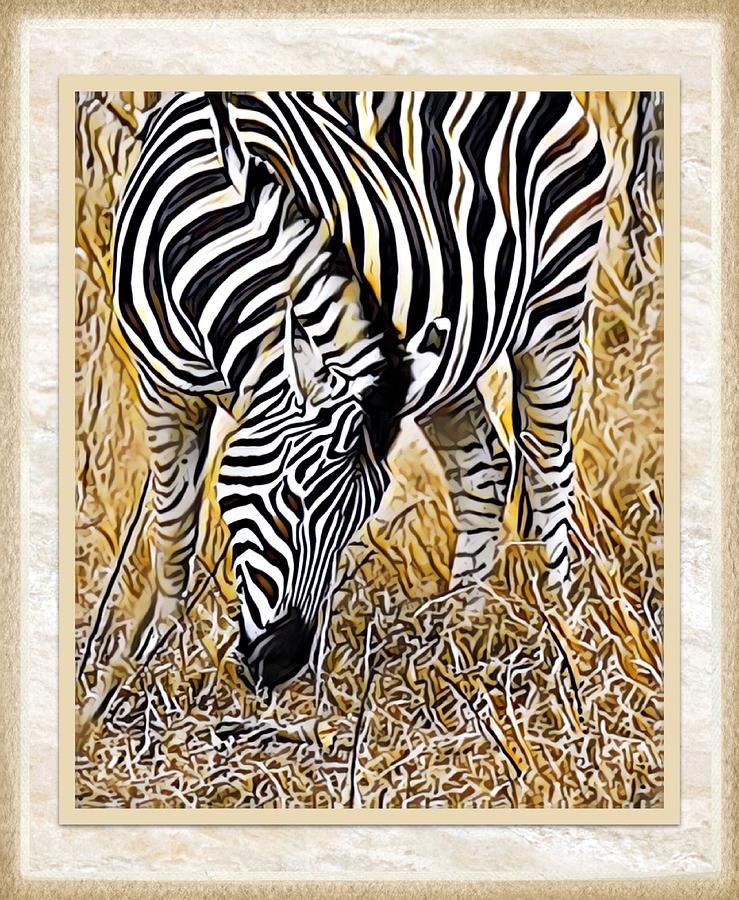Zebra #3 Photograph by Gini Moore