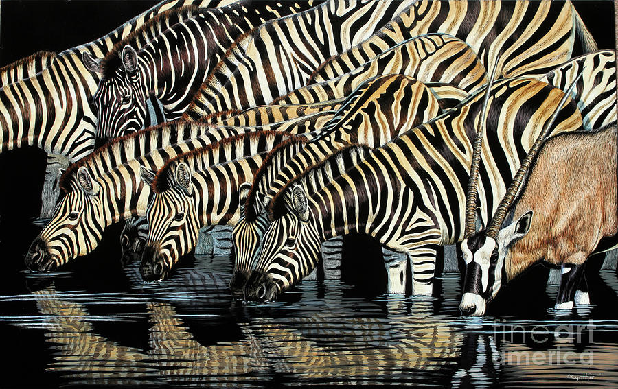 Zebra Scratch Board #3 Painting by Cynthie Fisher
