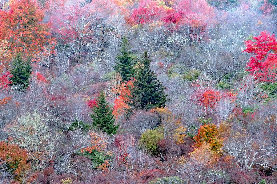 Autumn in the Appalachian Mountains Viewed Along the Blue Ridge  #30 Photograph by Alex Grichenko