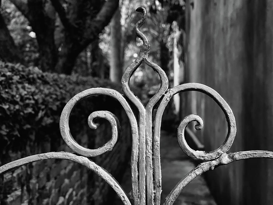 Charleston Wrought Iron Garden Gate in Detail, South Carolina #30 Photograph by Dawna Moore Photography
