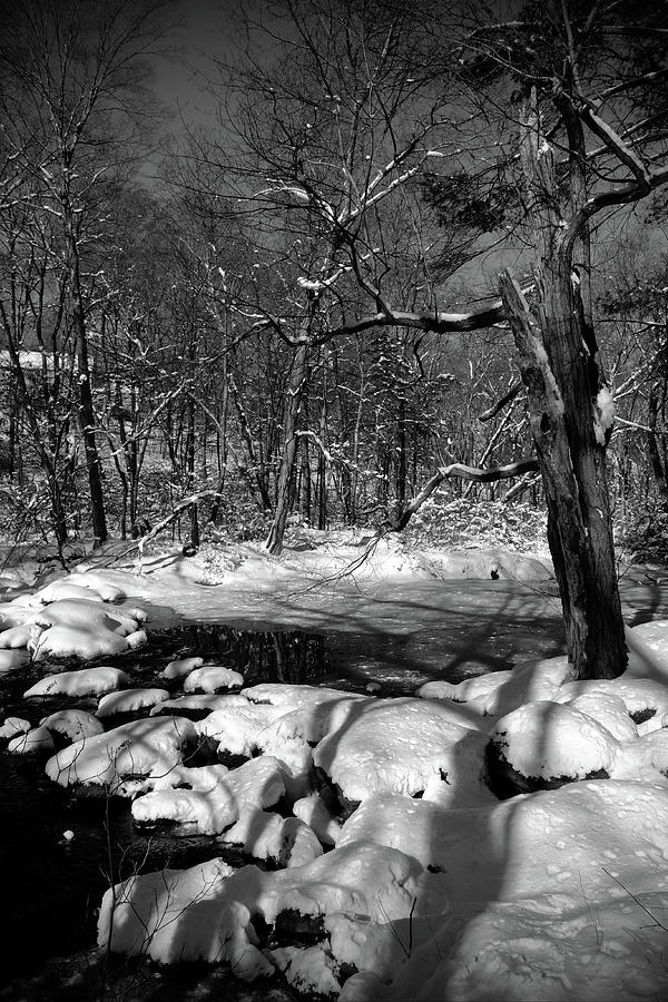 Far Mill River, Shelton CT Photograph by Thomas Henthorn | Pixels