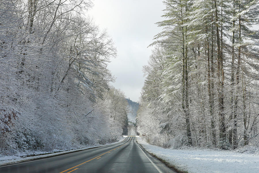 First Snow 2022 Photograph By Melissa Traub - Fine Art America