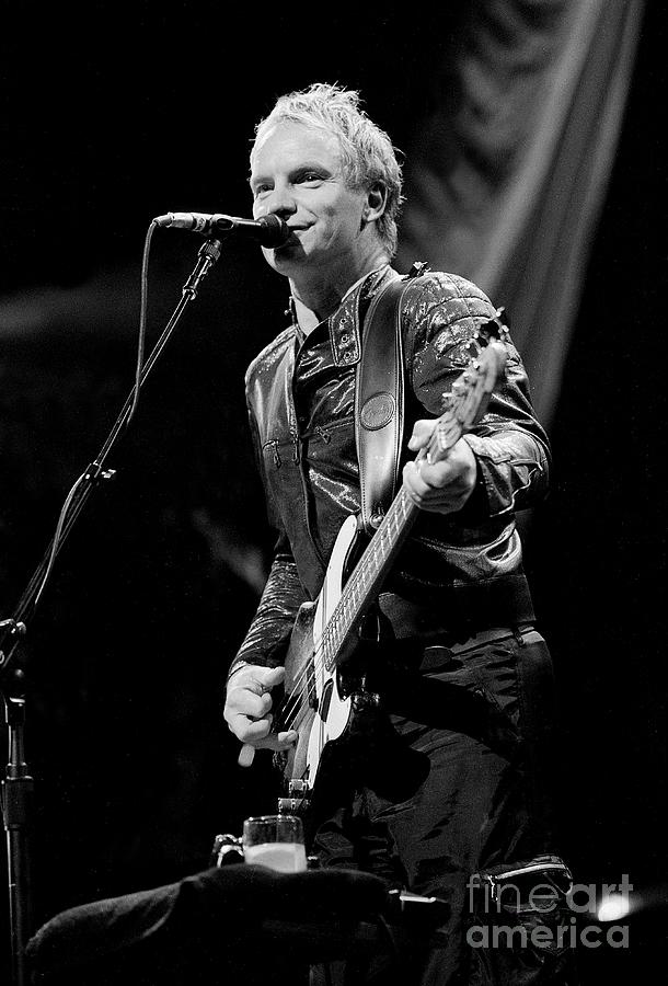 Sting Photograph by Concert Photos