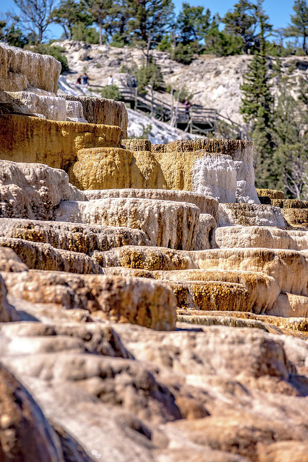 Travertine Terraces, Mammoth Hot Springs, Yellowstone #30 Photograph by Alex Grichenko