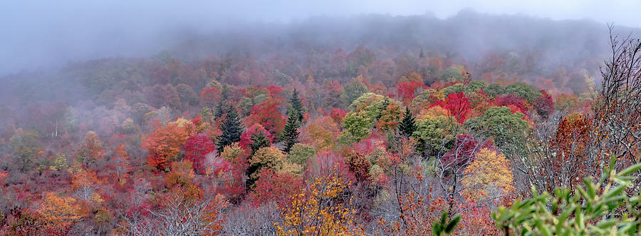 Autumn in the Appalachian Mountains Viewed Along the Blue Ridge  #31 Photograph by Alex Grichenko