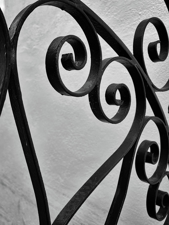 Charleston Wrought Iron Garden Gate in Detail, South Carolina #31 Photograph by Dawna Moore Photography