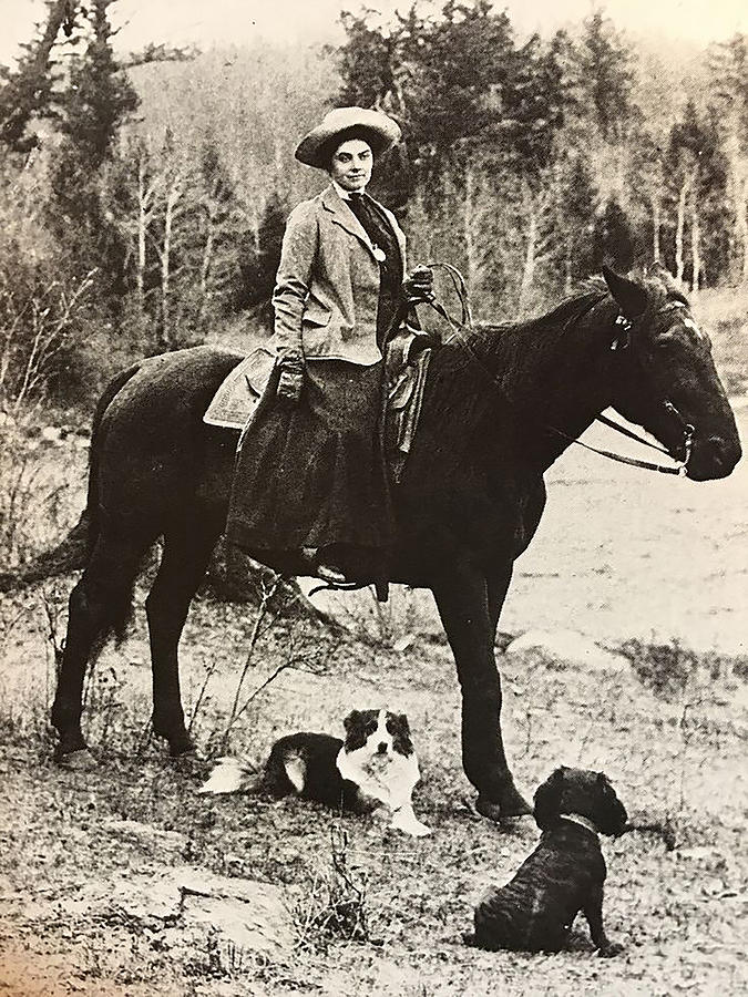 Emily Carr Painting By Henri Karimi - Fine Art America