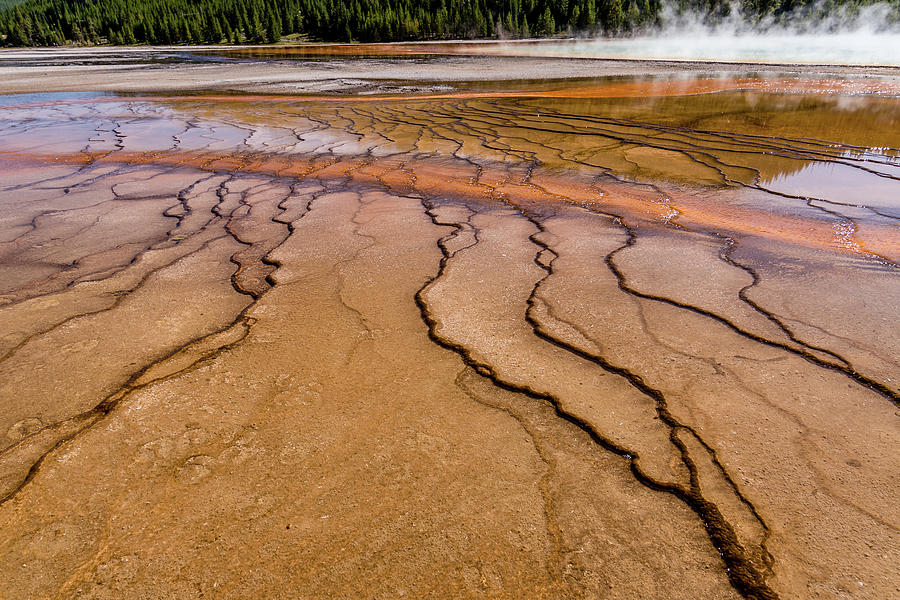 Grand Prismatic Spring in Yellowstone National Park #31 Photograph by Alex Grichenko