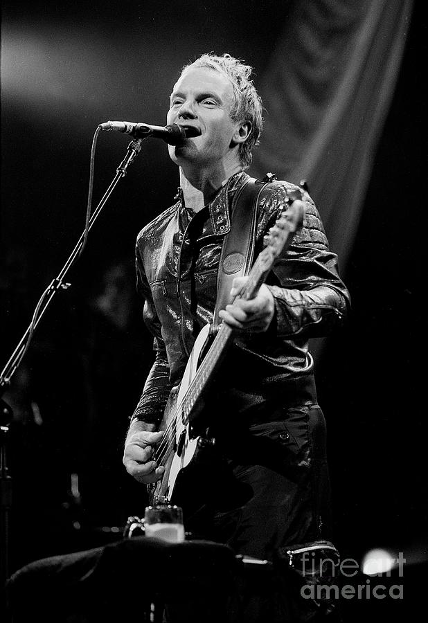 Sting Photograph By Concert Photos - Fine Art America