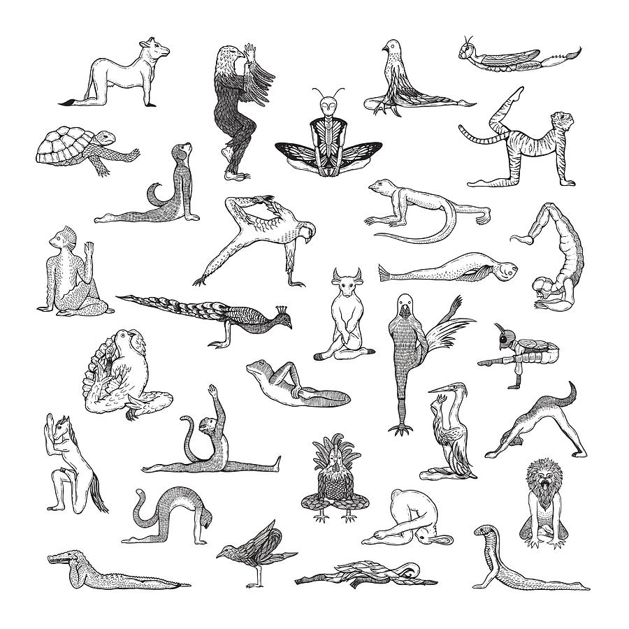 31 Yoga Animals by Shamanthi Poster travel Painting by Moore Dean ...