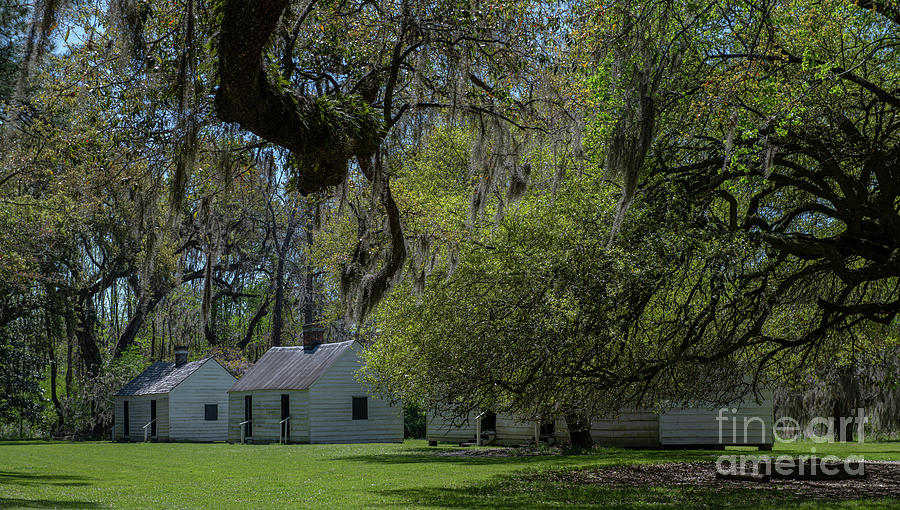 Magnolia Plantation Cabins Photograph by Dale Powell