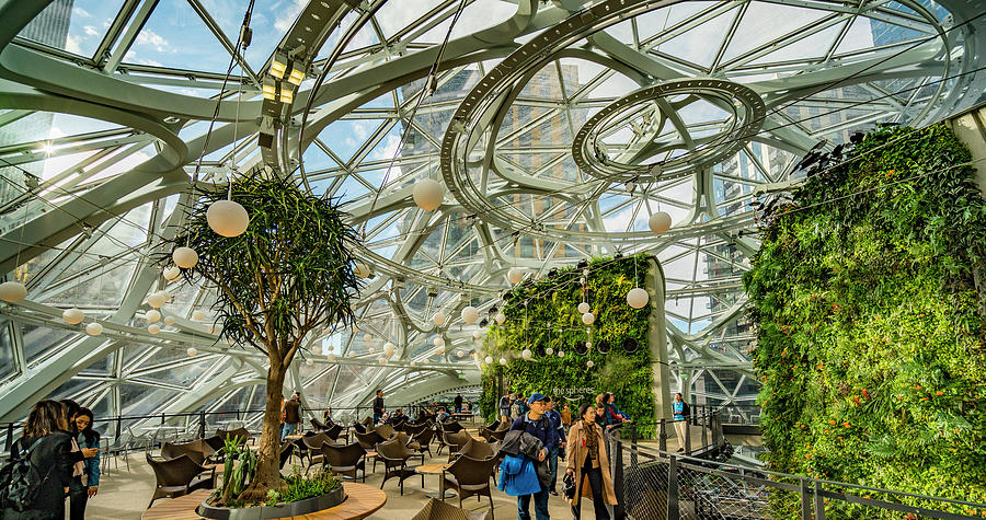 Amazon Spheres #32 Photograph by Tommy Farnsworth