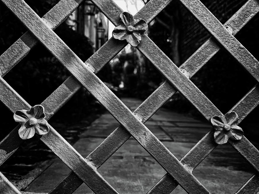 Charleston Wrought Iron Garden Gate in Detail, South Carolina #32 Photograph by Dawna Moore Photography