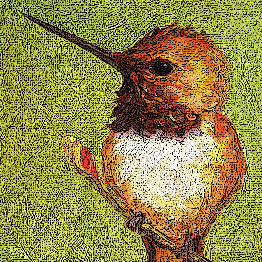 32 Rufus Hummingbird Painting by Victoria Page