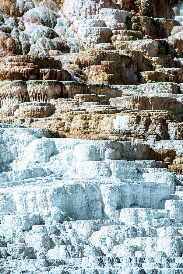 Travertine Terraces, Mammoth Hot Springs, Yellowstone #32 Photograph by Alex Grichenko