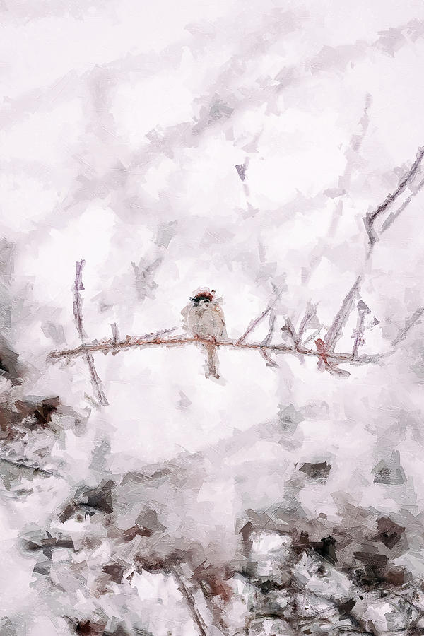 Winter Story #32 Digital Art by TintoDesigns