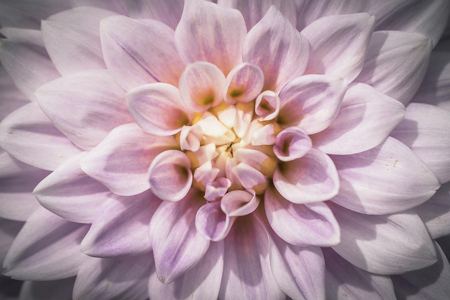321 Photograph by Ryan Weddle