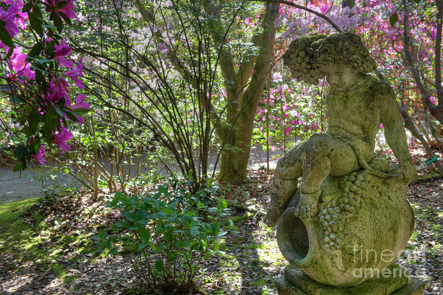 Garden Statue In The Garden Of Magnolia Plantation Photograph