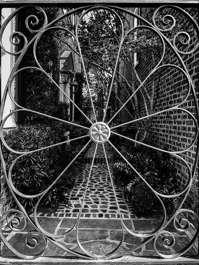 Charleston Wrought Iron Garden Gate in Detail, South Carolina #33 Photograph by Dawna Moore Photography