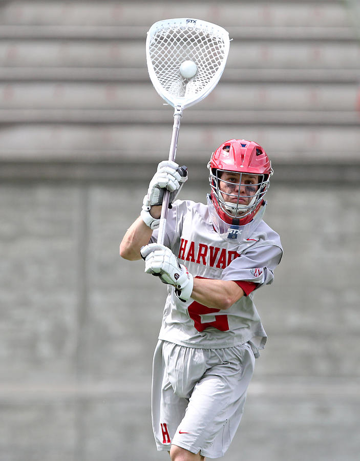 COLLEGE LACROSSE: APR 29 Yale at Harvard #33 Photograph by Icon Sportswire