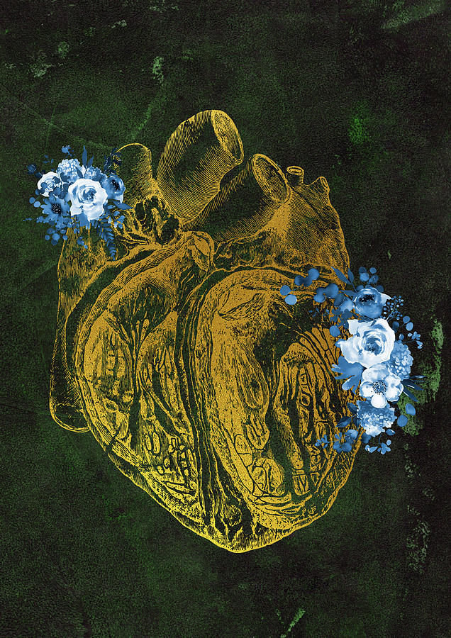 Human Heart Digital Art By Erzebet S Fine Art America 1068