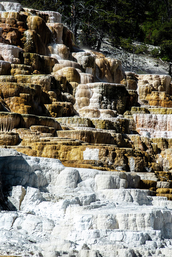 Travertine Terraces, Mammoth Hot Springs, Yellowstone #33 Photograph by Alex Grichenko