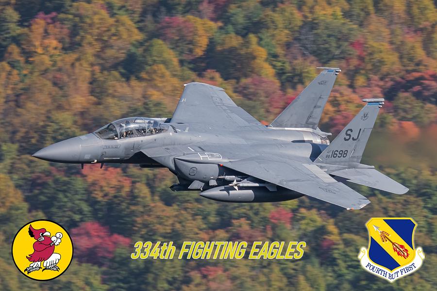 334th Fighting Eagles Photograph by Jeff Cook