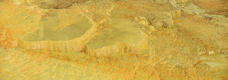 Travertine Terraces, Mammoth Hot Springs, Yellowstone #34 Photograph by Alex Grichenko
