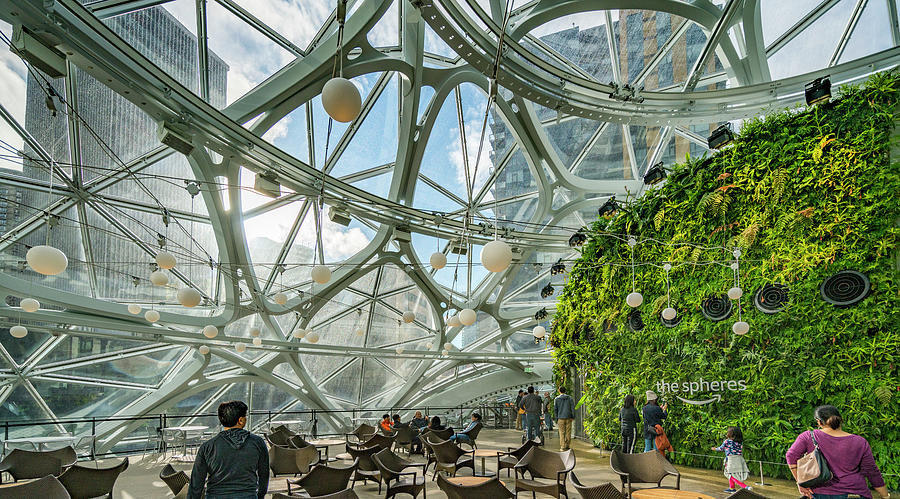 Amazon Spheres #35 Photograph by Tommy Farnsworth