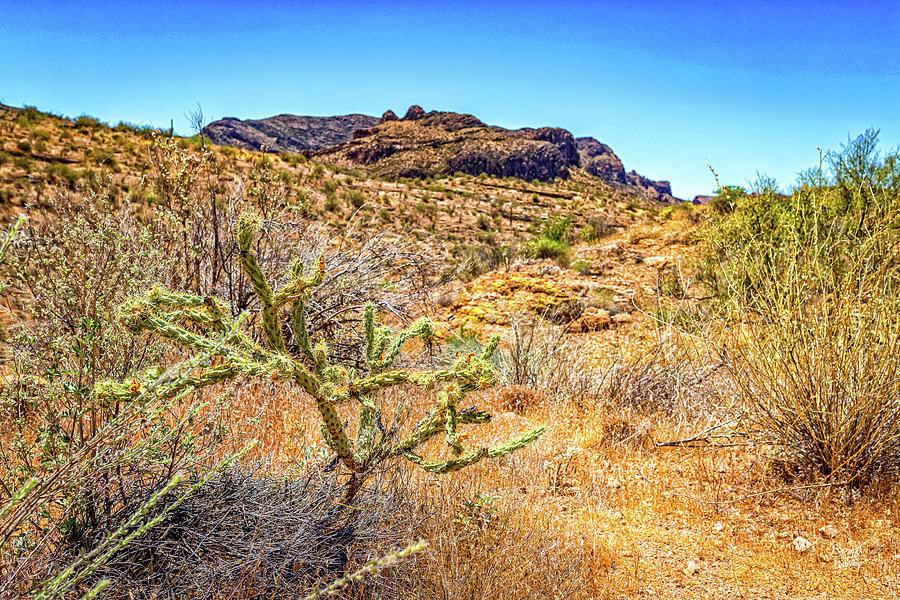 Apache Trail Scenic Drive View Photograph by Gestalt Imagery | Fine Art ...