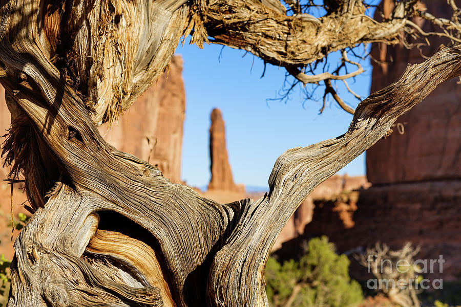 Arches National Park Photograph by Raul Rodriguez
