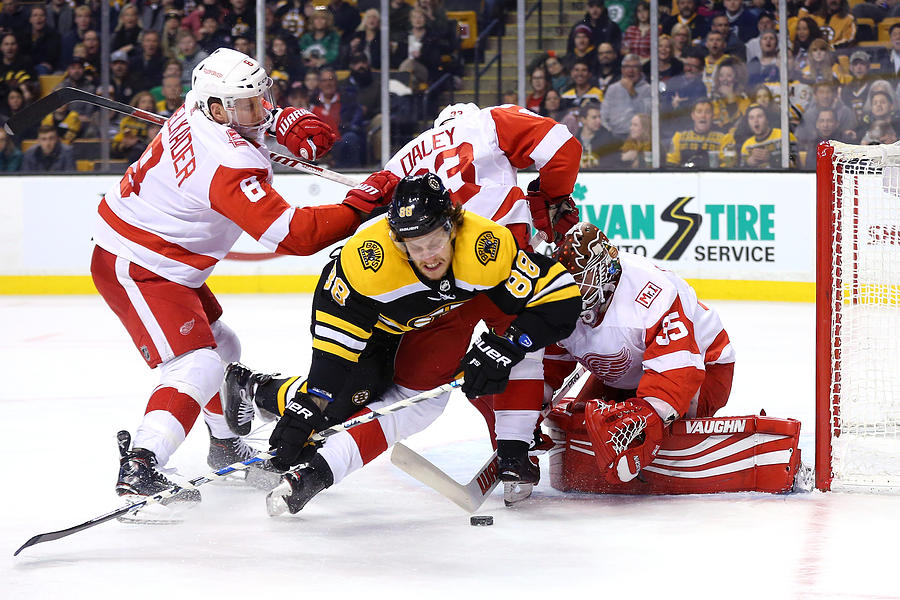 Detroit Red WIngs v Boston Bruins #35 Photograph by Maddie Meyer