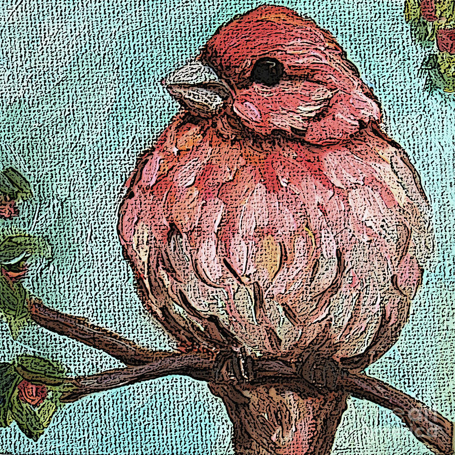 35 House Finch Painting by Victoria Page