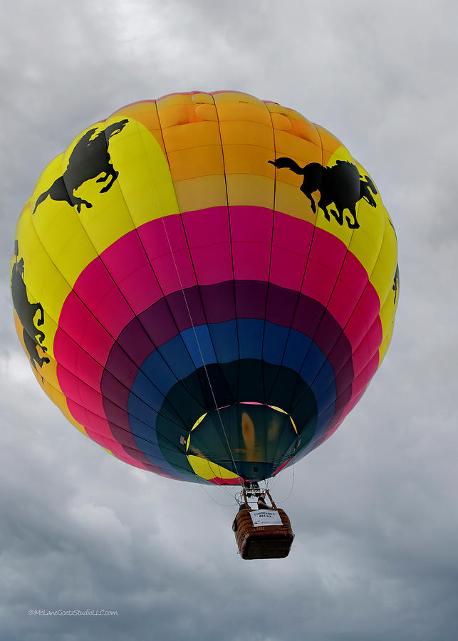 Metamora Balloon Festival Photograph by LeeAnn McLaneGoetz