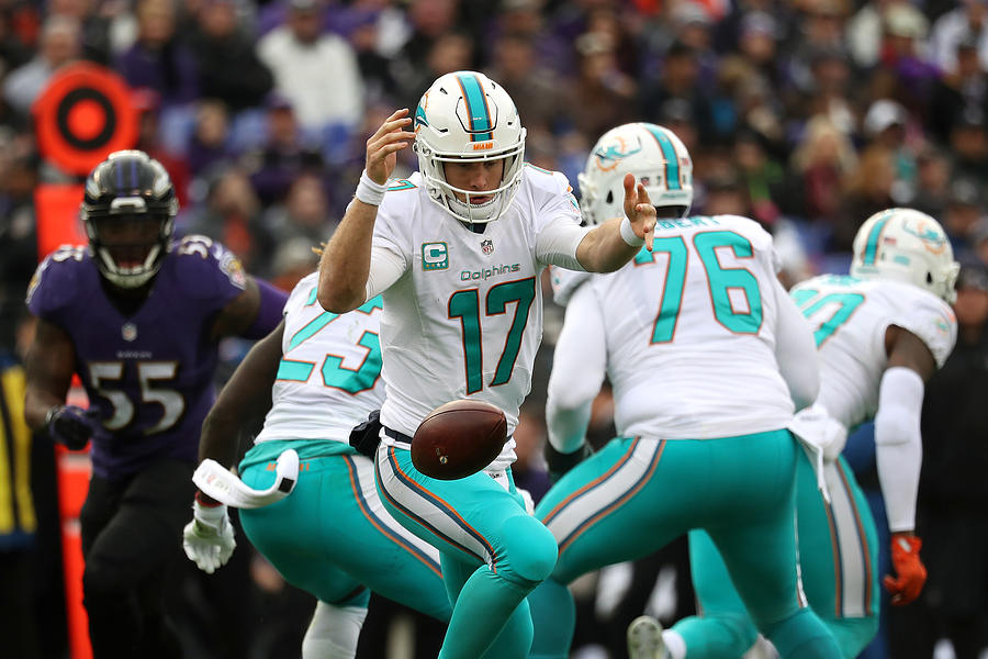 Miami Dolphins v Baltimore Ravens #35 Photograph by Rob Carr